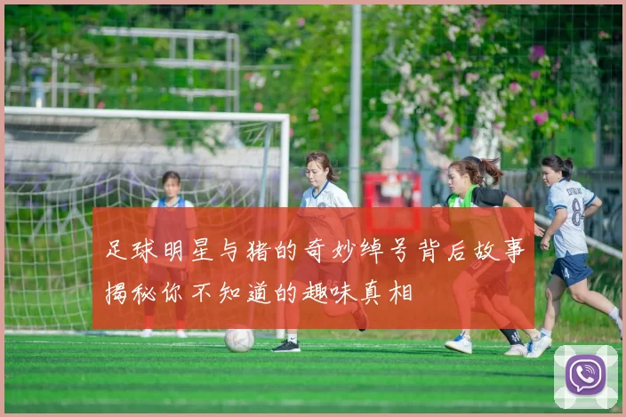 足球明星与猪的奇妙绰号背后故事揭秘你不知道的趣味真相