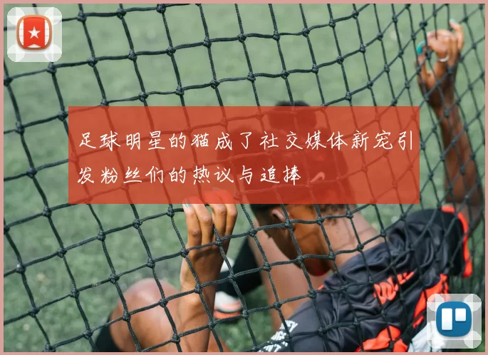 足球明星的猫成了社交媒体新宠引发粉丝们的热议与追捧
