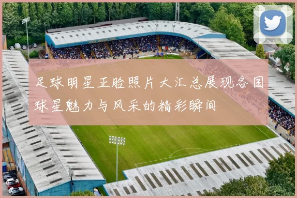 足球明星正脸照片大汇总展现各国球星魅力与风采的精彩瞬间