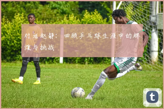 对话赵静：回顾乒乓球生涯中的辉煌与挑战