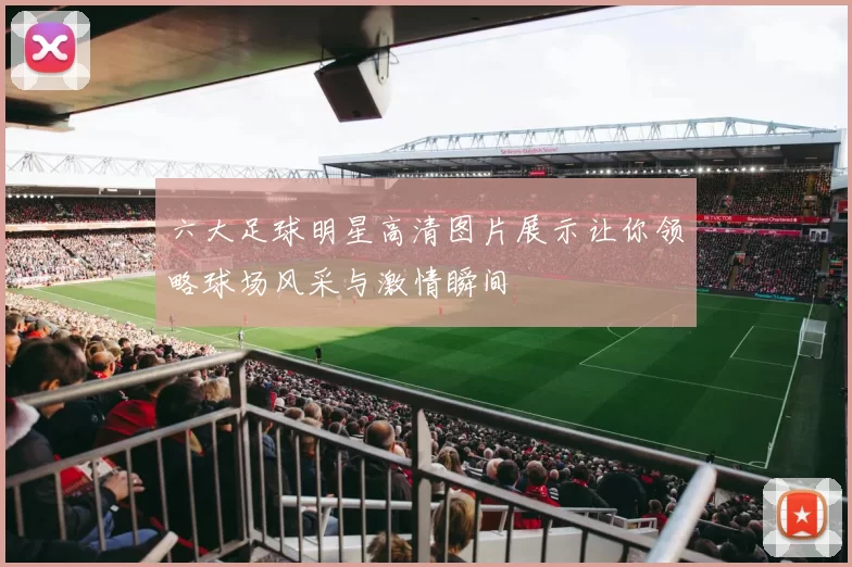 六大足球明星高清图片展示让你领略球场风采与激情瞬间