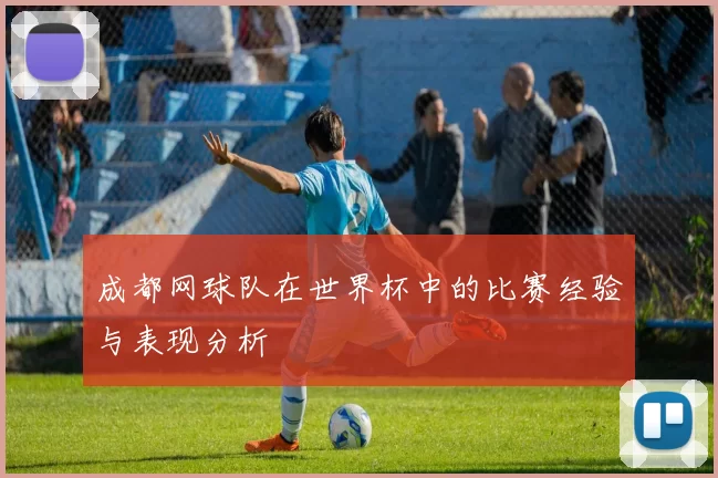 成都网球队在世界杯中的比赛经验与表现分析