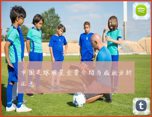 中国足球明星全景介绍与成就分析汇总