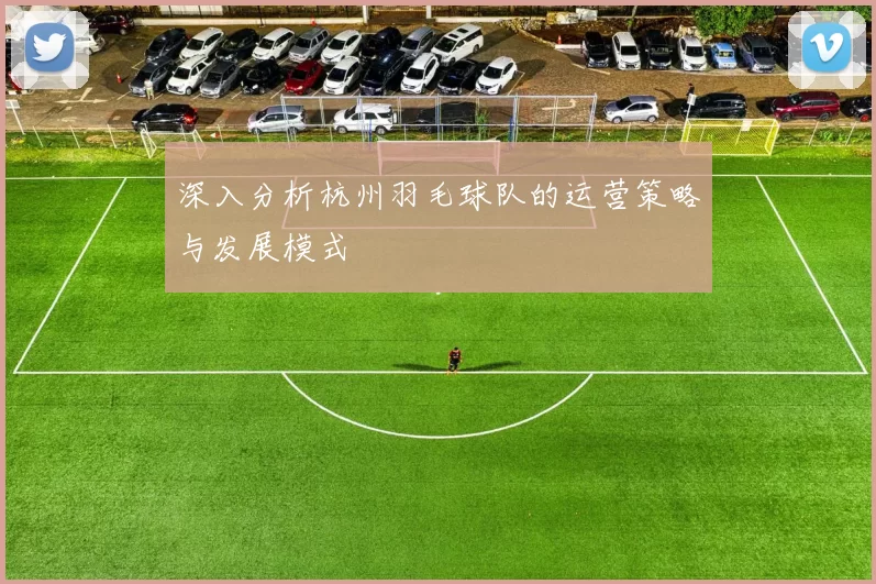 深入分析杭州羽毛球队的运营策略与发展模式