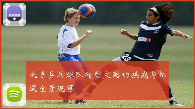 北京乒乓球队转型之路的挑战与机遇全景观察