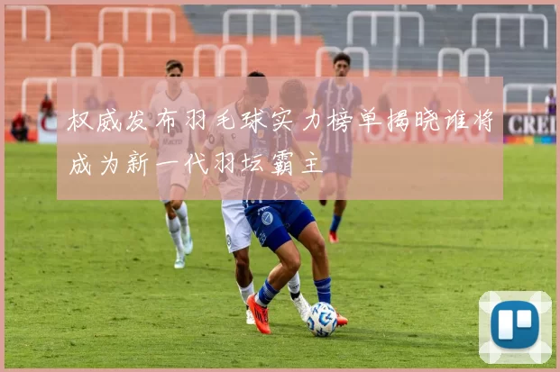 权威发布羽毛球实力榜单揭晓谁将成为新一代羽坛霸主