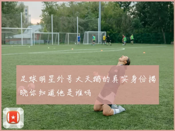 足球明星外号大天鹅的真实身份揭晓你知道他是谁吗
