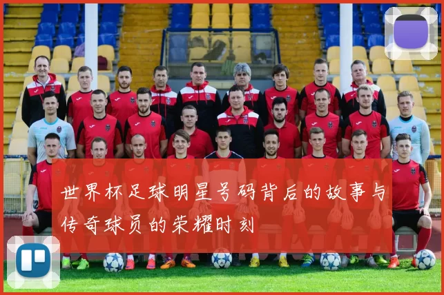 世界杯足球明星号码背后的故事与传奇球员的荣耀时刻