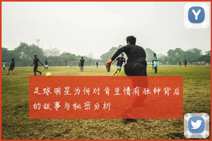 足球明星为何对肯豆情有独钟背后的故事与秘密分析