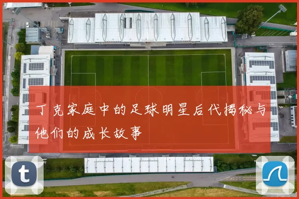 丁克家庭中的足球明星后代揭秘与他们的成长故事