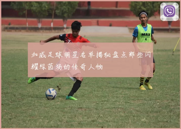 加威足球明星名单揭秘盘点那些闪耀绿茵场的传奇人物