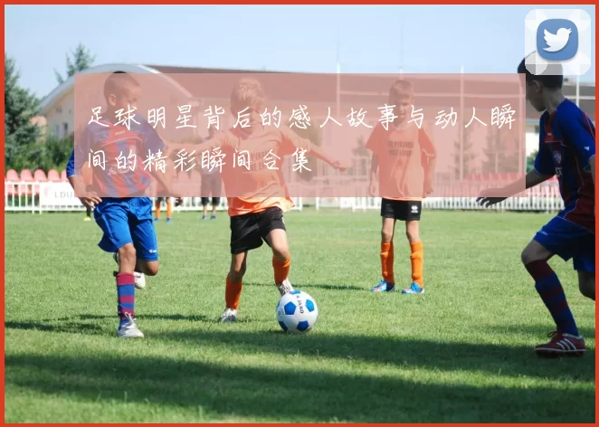 足球明星背后的感人故事与动人瞬间的精彩瞬间合集