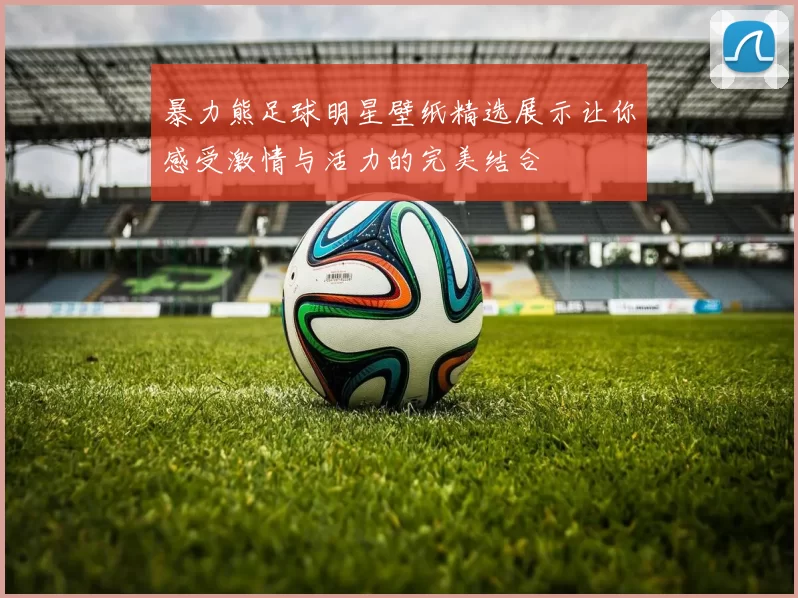 暴力熊足球明星壁纸精选展示让你感受激情与活力的完美结合