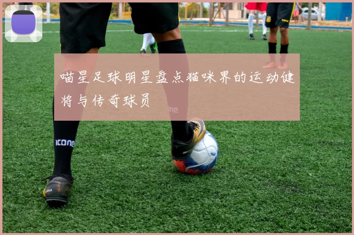 喵星足球明星盘点猫咪界的运动健将与传奇球员