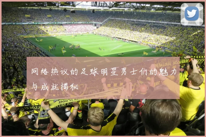网络热议的足球明星男士们的魅力与成就揭秘