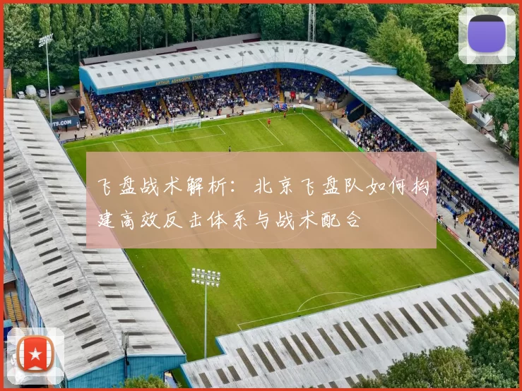 飞盘战术解析：北京飞盘队如何构建高效反击体系与战术配合