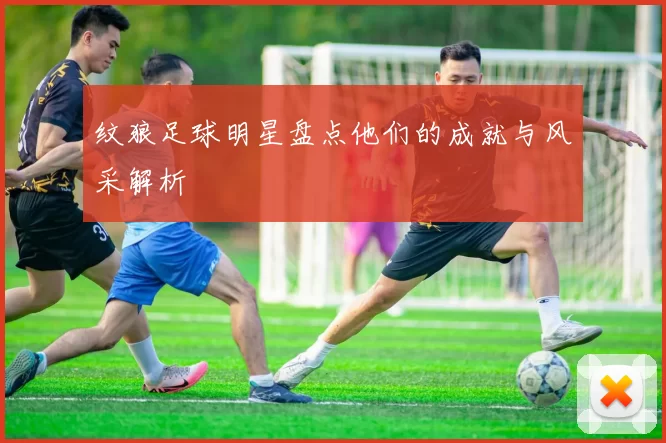 纹狼足球明星盘点他们的成就与风采解析