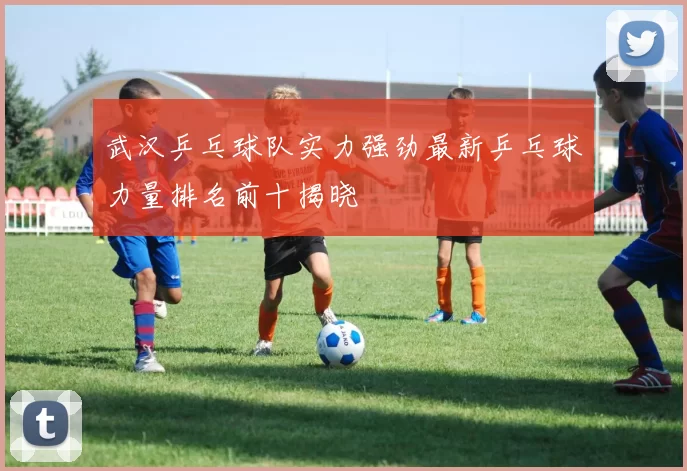 武汉乒乓球队实力强劲最新乒乓球力量排名前十揭晓