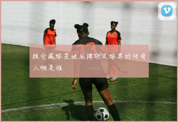 粮仓藏球星谜底揭晓足球界的传奇人物是谁