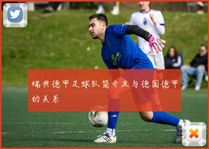 瑞典德甲足球队简介及与德国德甲的关系