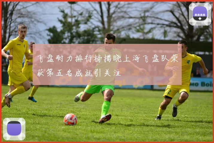 飞盘耐力排行榜揭晓上海飞盘队荣获第五名成就引关注