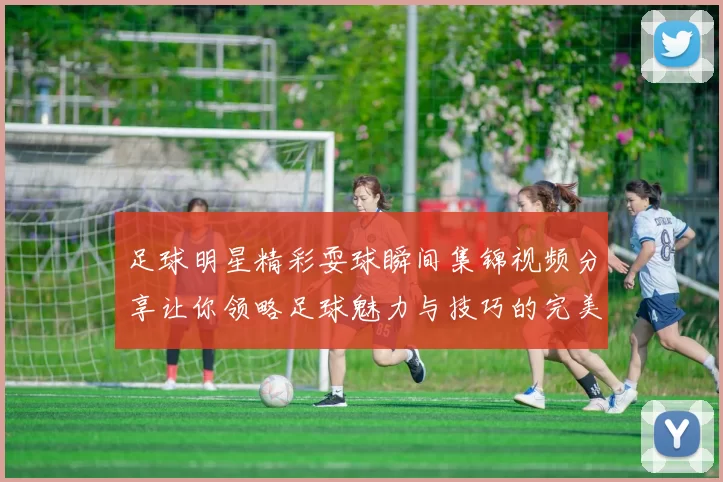 足球明星精彩耍球瞬间集锦视频分享让你领略足球魅力与技巧的完美结合