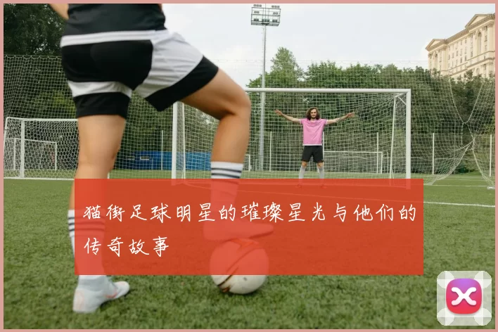 猫街足球明星的璀璨星光与他们的传奇故事