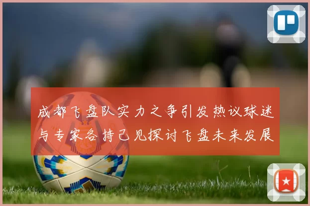 成都飞盘队实力之争引发热议球迷与专家各持己见探讨飞盘未来发展