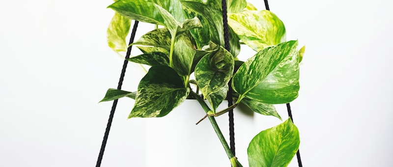 欧冠半决赛曼城对阵皇家马德里直播画面